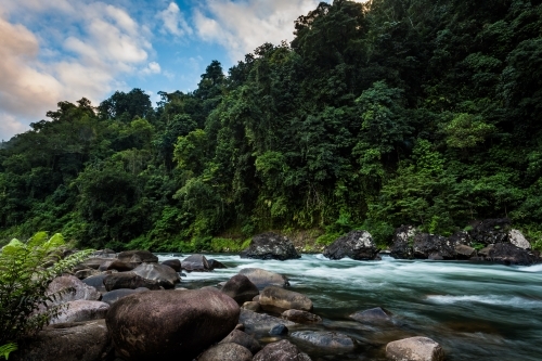 Tully River at Dawn - Australian Stock Image