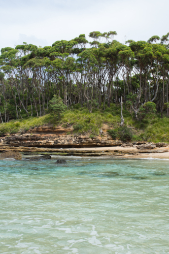 Turquoise water and rocks with gum trees - Australian Stock Image