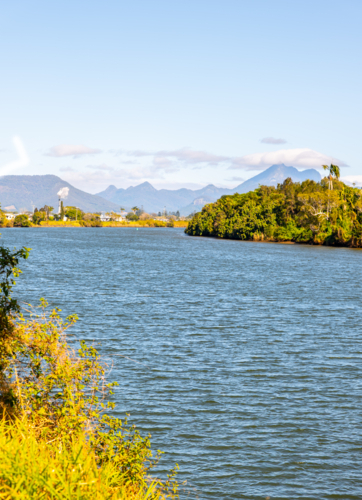 Tweed River with Wollumbin in the distance - Australian Stock Image