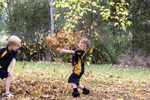 Two boys paying in autumn leaves wearing school uniform - Australian Stock Image
