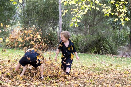 Two boys paying in autumn leaves wearing school uniform - Australian Stock Image