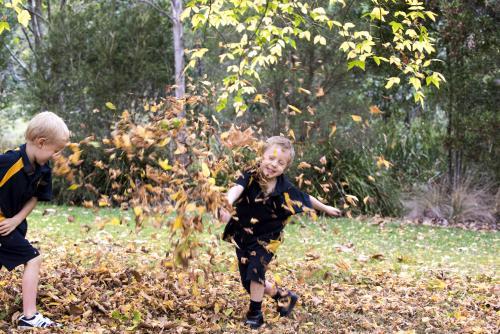 Two boys paying in autumn leaves wearing school uniform - Australian Stock Image