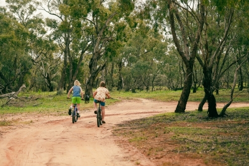 Two boys riding bikes on dirt road in forest - Australian Stock Image