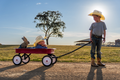Two brothers pulling each other in a little red wagon - Australian Stock Image