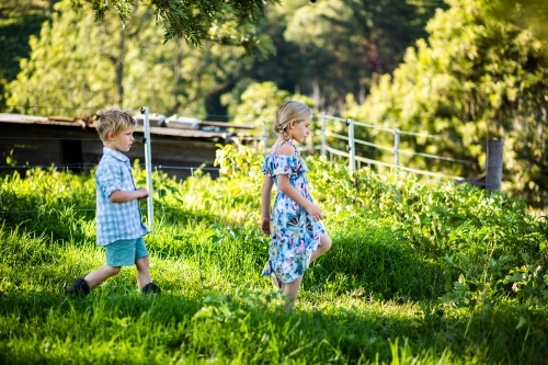 Two children walking through long green grass hunting - Australian Stock Image