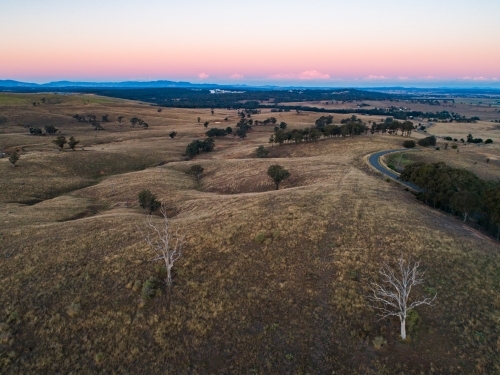 Two dead gum trees in paddock at dusk with pastel sky - Australian Stock Image