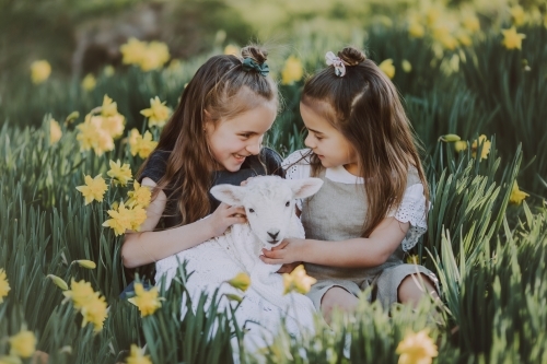 Two fashionable sisters hugging a baby lamb in a field of daffodils