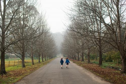 Two girls walking along a tree lined street - Australian Stock Image