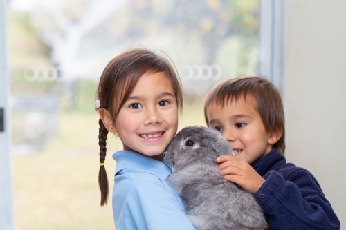 Two happy children with their pet bunny - Australian Stock Image