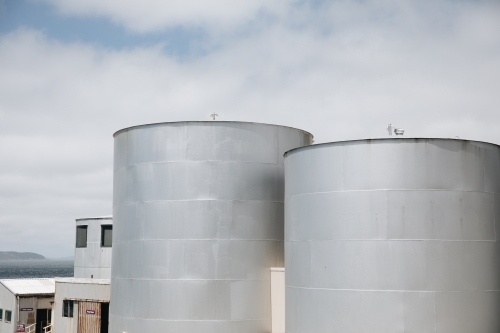 Two large, cylindrical storage tanks with a flat top. - Australian Stock Image
