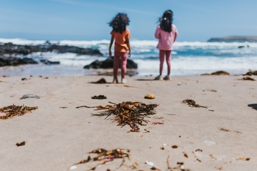 two little girls looking at the sea - Australian Stock Image