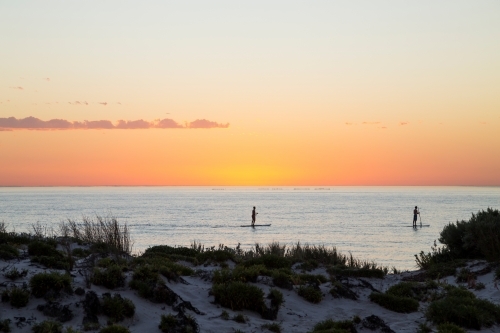 two paddle boarders on water at sunrise - Australian Stock Image