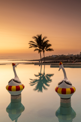 Two pelican statues and a palm tree in a lagoon at sunrise - Australian Stock Image