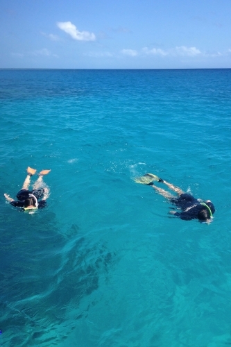 two people swimming with snorkels in the ocean