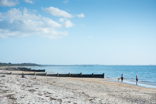 Two people walking dog along beach with groynes and blue sky - Australian Stock Image