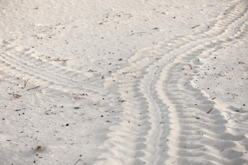 Two tracks of turtle prints in white sand - Australian Stock Image