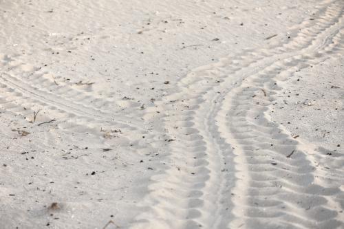 Two tracks of turtle prints in white sand