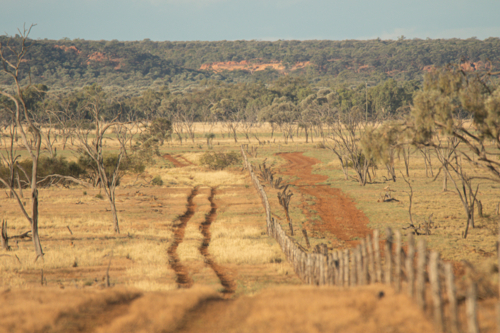 Two wheel tracks on one side of a fence, and a graded road on the other side of the fence - Australian Stock Image