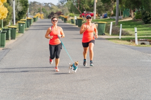 Two women running with a small dog on a neighbourhood street lined with recycle bins - Australian Stock Image