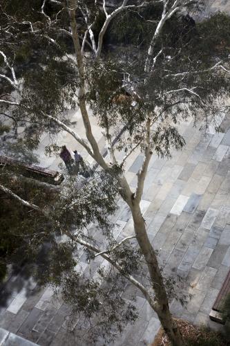 two women walking in the sculpture garden at the National Gallery of Australia