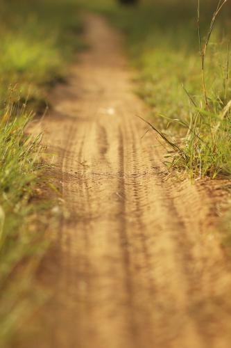 Tyre marks on a dusty bike track - Australian Stock Image
