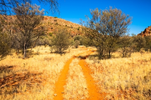 Tyre tracks leading away through the red earth of Central Australia. - Australian Stock Image