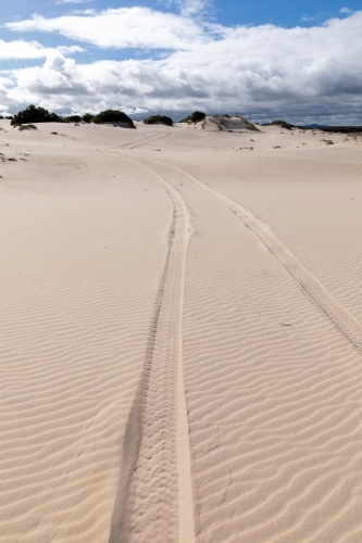 tyre tracks leading through white sand dunes - Australian Stock Image