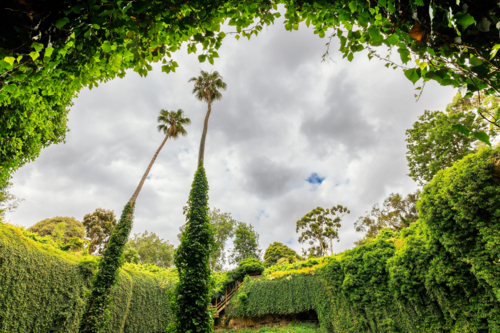 Umpherston Sinkhole Cave Gardens viewed from the bottom grounds, Mt Gambier, Limestone Coast - Australian Stock Image