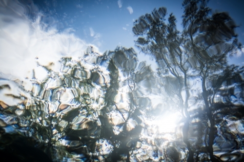 Underwater looking up through crystal clear water to sun shining through trees - Australian Stock Image