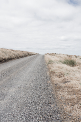 Unsealed road with dry grasses and cloudy sky - vertical - Australian Stock Image
