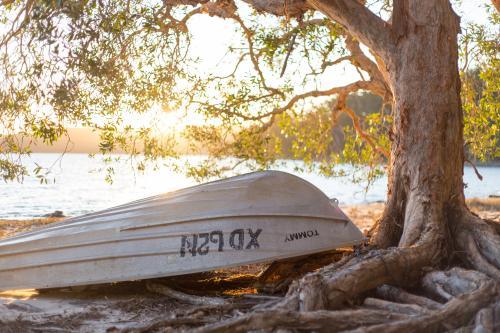 Upside down tinny sitting under a tree by a lake in the afternoon light