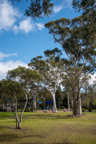 Urban park with trees and play equipment - Australian Stock Image