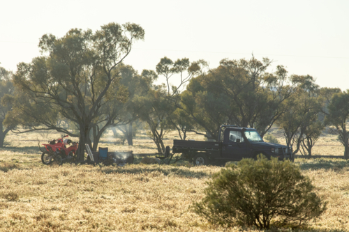 Ute and motorbikes parted near a campfire amongst gidgea trees - Australian Stock Image