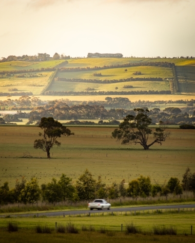 Ute Driving Down a Rural Road - Australian Stock Image