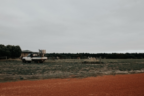 Ute parked near country home on farmland with red dirt road - Australian Stock Image