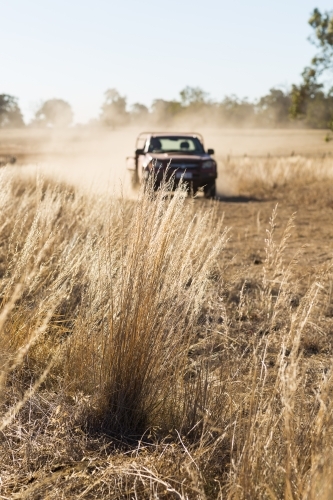 Ute travelling down a dirt road with dry grass in foreground - Australian Stock Image