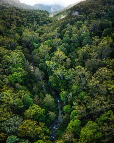 River winding through tropical rainforest - Australian Stock Image
