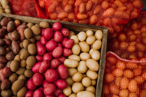 variety of potates boxed - Australian Stock Image