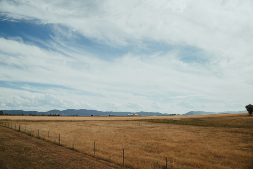 Vast dry paddock under a wispy summer sky in regional NSW - Australian Stock Image
