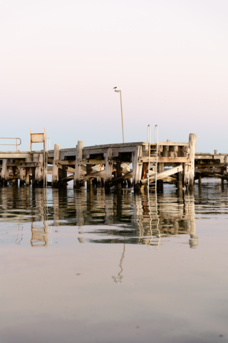 Venus Bay jetty reflecting on calm morning water - Australian Stock Image