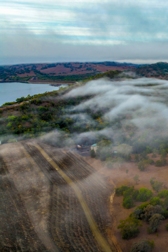Vertical Aerial image of the Glenbawn Dam wall with morning fog drifting through the valley - Australian Stock Image