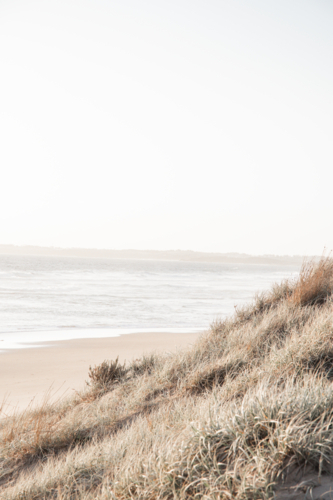 Vertical image of sand dune and grasses with ocean in background at sunset - Australian Stock Image