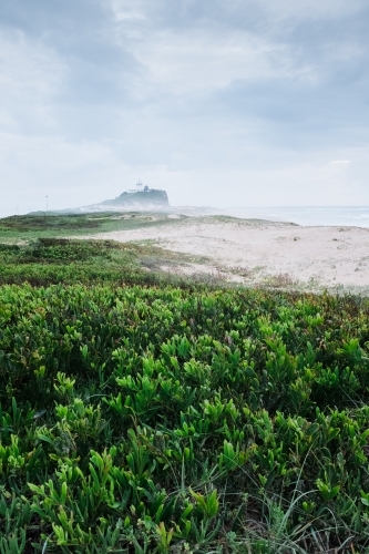 vertical shot of a misty remote beach park with shrubs and white sand on a cloudy day - Australian Stock Image