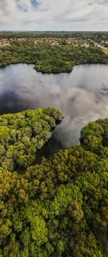 vertical shot of an island with green trees and bushes beside a river