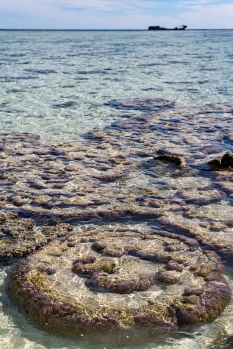 Vertical shot of coral reef at low tide with a ship in the background
