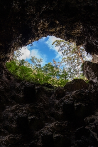 Looking up at the sky and green trees from the inside of Lake Cave, Margaret River - Australian Stock Image