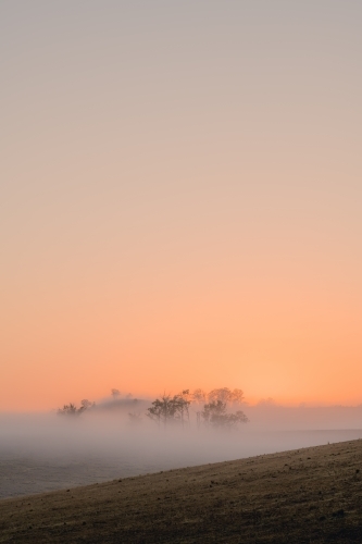 Vertical shot of mist hiding trees on hill at dawn - Australian Stock Image