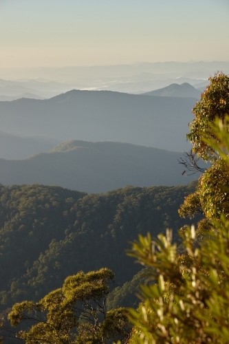 Vertical shot of mountains and trees on a misty day - Australian Stock Image