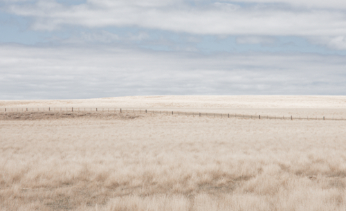 Very dry, grassy paddocks and fence - horizontal - Australian Stock Image