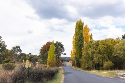 Vibrant Autumn foliage at Uralla in the New South Wales Northern Tablelands - Australian Stock Image